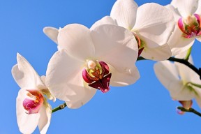 世界举重公开赛赛后技术裁判国际交流周启动，世界举重锦标赛
